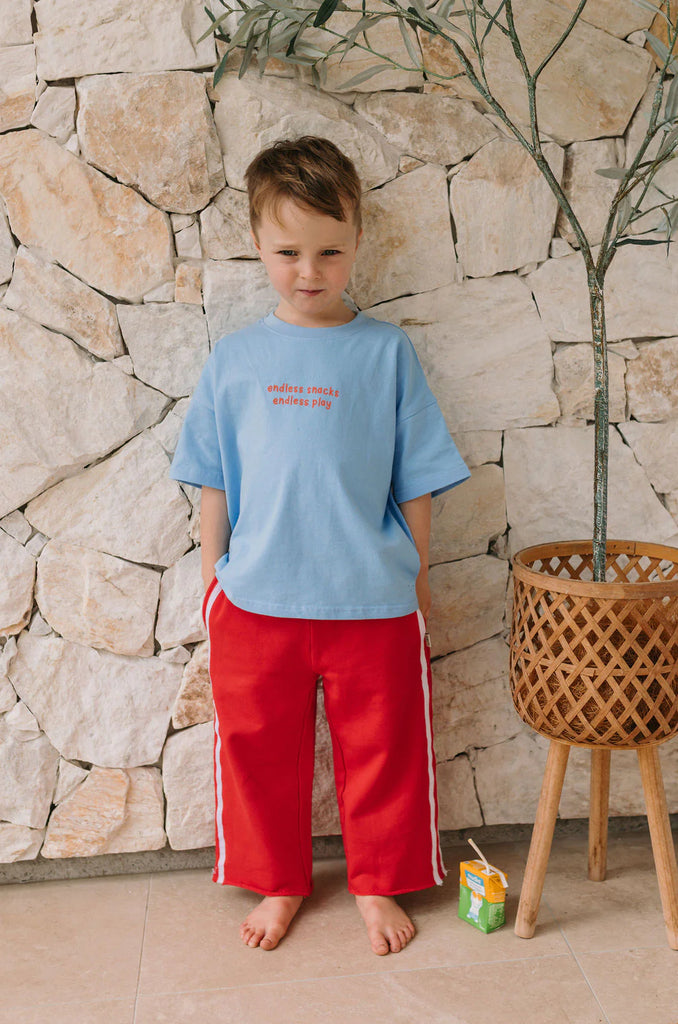 Child wearing a blue shirt and red pants standing against a stone wall.